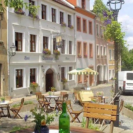 Apartment Und Dreibeiniger Hund *