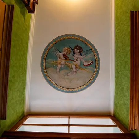 Appartement Und Dreibeiniger Hund Görlitz