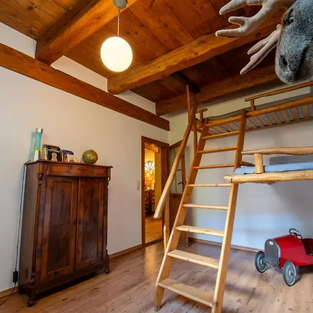 Appartement Und Dreibeiniger Hund